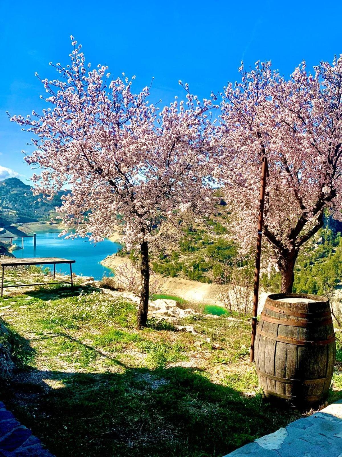 Casa Rural Miravella 卡斯特里尔 外观 照片